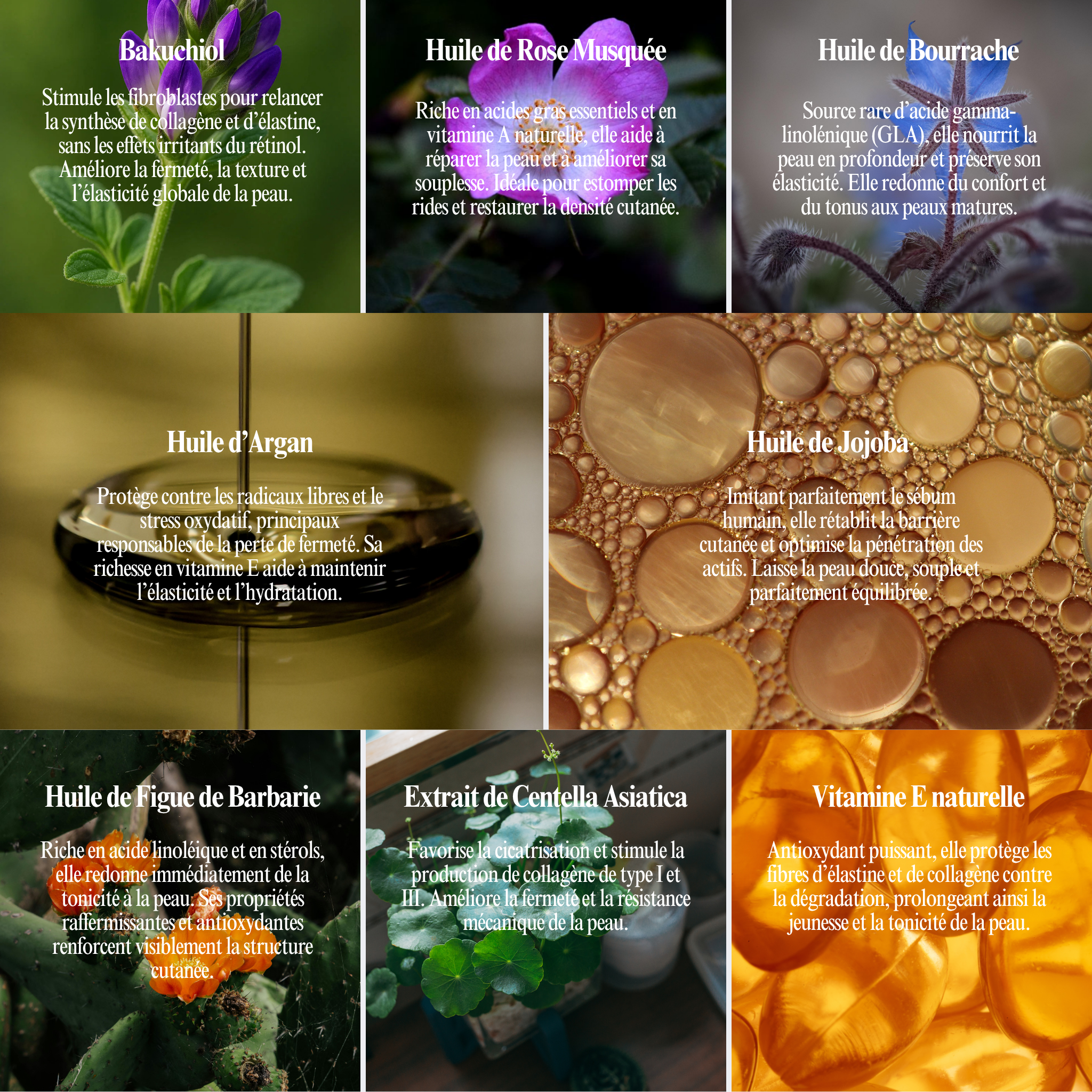 Bakuchiol Collagenis™